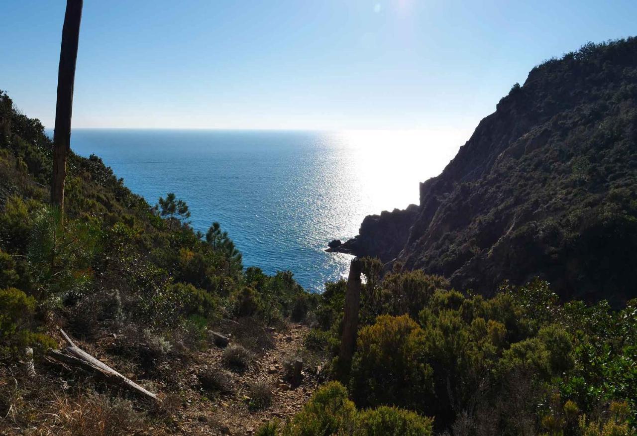 M'Illumino D'Immenso - Moneglia Apartments Buitenkant foto